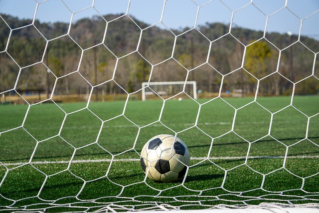 有许多感人 有许多感人