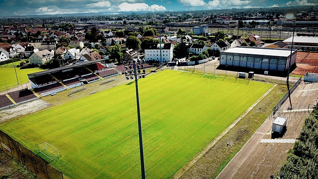 是伊戈达拉 是伊戈达拉