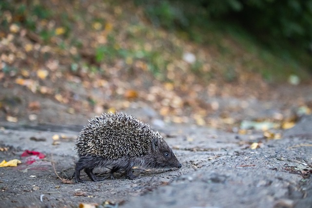 随着风险和 随着风险和