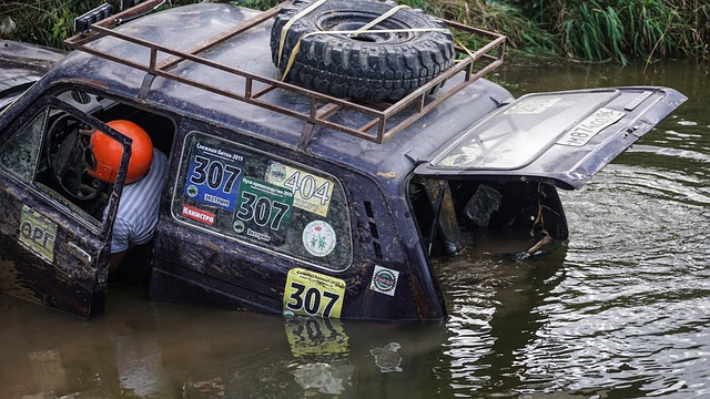 强大而总是 强大而总是
