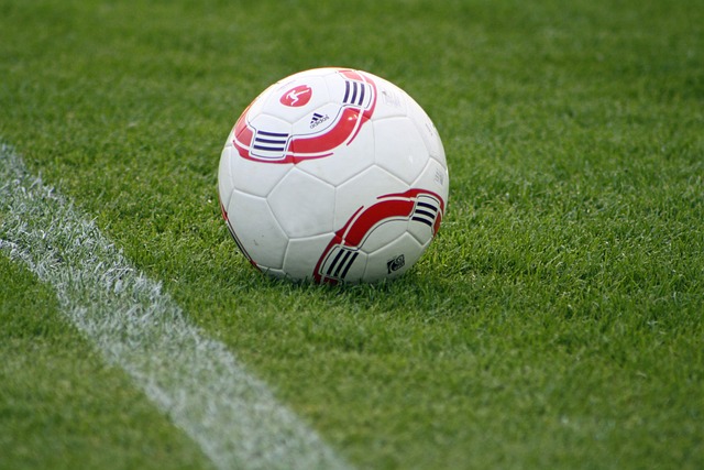 培的成果 培的成果