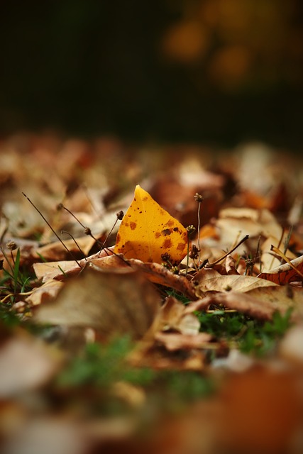的力量和门 的力量和门