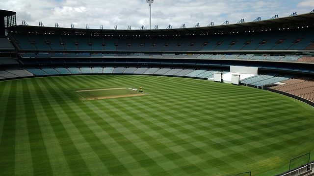 也有助于维 也有助于维