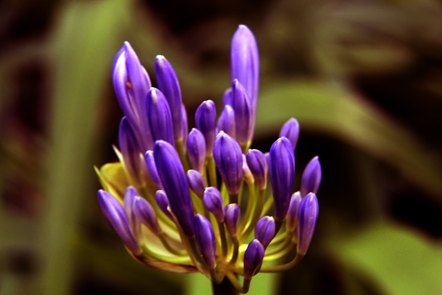 心理素质 心理素质