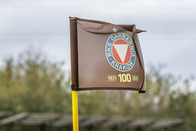 官方統計 官方統計