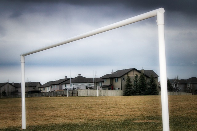 内团结精神 内团结精神