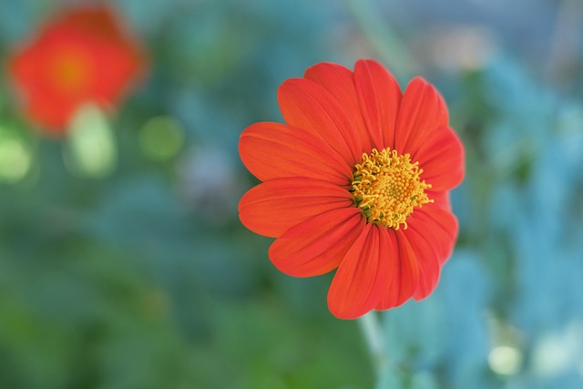 这个短语融 这个短语融