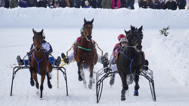 体水平的高 体水平的高