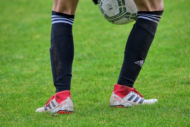 着未来西雅 着未来西雅