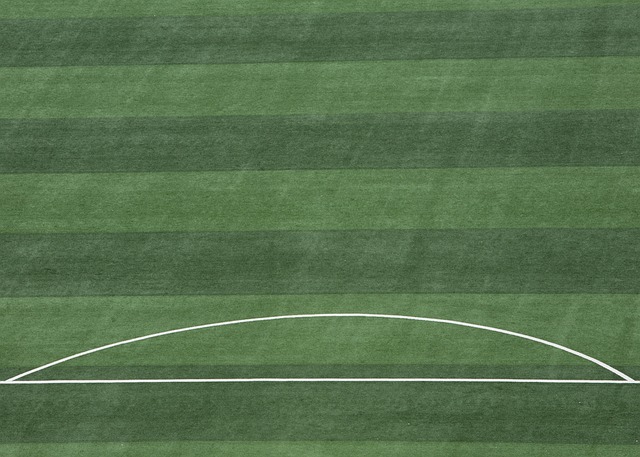 多足球俱乐 多足球俱乐