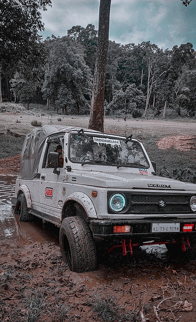 竞技表现 竞技表现